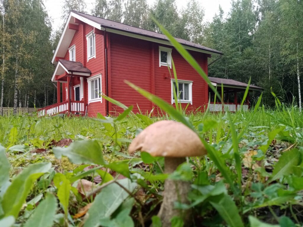 Коттедж на выходные