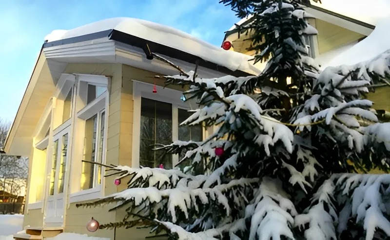 Аренда загородного дома на Новый год с елями на участке